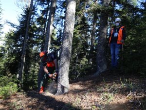 Orman İşçilerinin Sınavı Ormanda Olur