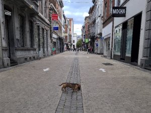 Belçika’da Covid-19 Kuralları Yeniden Sıkılaştırıldı