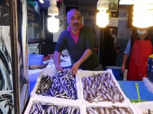 Balık Halinde Fiyat Rekoru Hamside