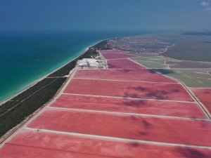 Meksika’nın Pembe Gölü’nü Türk Çift Görüntüledi