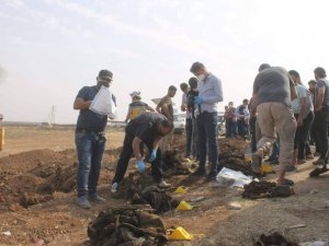 Azez Yakınlarında Pkk’dan Kurtarılan Bölgede Toplu Mezar Bulundu