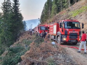 Vali Taşbilek: “Örümcek Ormanları’ndaki Yangın Kontrol Altına Alınma Seviyesinde”