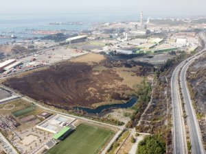 İskenderun’da 55 Dönümlük Kuş Cenneti De Kül Oldu