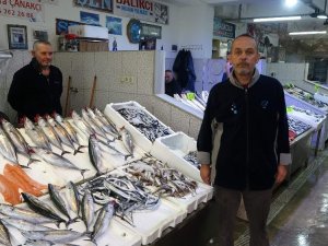 Palamut Fiyatıyla Cep Yakıyor