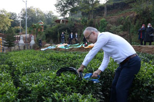 RTEÜ'de Çayda Makineli Tarım Çalışmaları Devam Ediyor