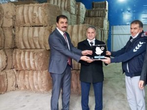 İstiridye Mantarı Yöre Halkının Yeni Gelir Kapısı Oldu