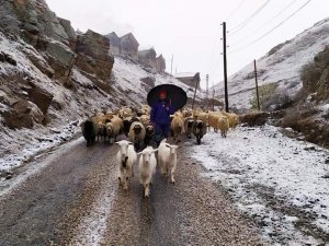 Yaylacılar Kar Yağışı İle Birlikte Dönüşe Geçti