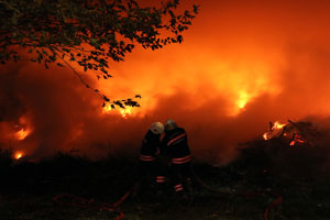 Trabzon’da Korkutan Yangın
