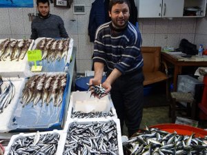 Balık Fiyatlarının Ateşi Düşmedi