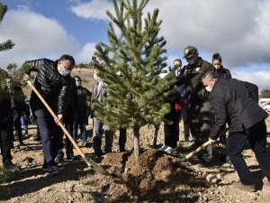 Gümüşhane’de 22 Bin Fidan Toprakla Buluştu