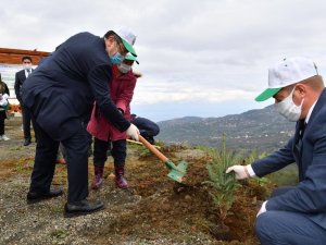 Minik Eller Fidanları Toprakla Buluşturdu