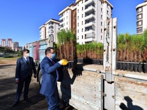 Ortahisar Belediyesi’nden Antakya Belediyesi’ne 4 Bin 61 Adet Fidan Bağışında Bulundu