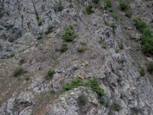 Keçilerin Zirveye Yolculuğu Havadan Görüntülendi