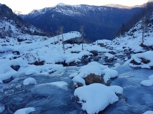 Artvin’in Macahel Karçal Dağları Eteklerinde Bulunan Göller Ve Akarsular Buz Tuttu