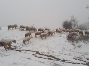 Manisa’da Mevsimin İlk Karı Yağdı