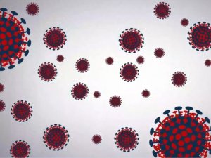 Pfizer Ve Biontech, Covid-19 Aşısı İçin Fda’ya Resmi Başvuru Yaptı