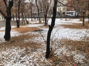 Ağrı’ya Mevsimin İlk Karı Yağdı