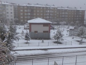 Erzurum’da Soğuk Hava Ve Sis Etkili Oluyor