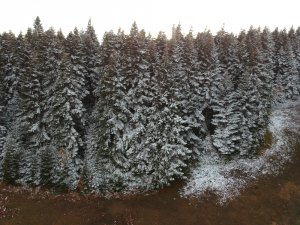 Sinop’a Yılın İlk Karı Düştü, Kartpostallık Görüntüler Ortaya Çıktı