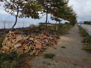 Kışlık Odunlarını Denizden Temin Ettiler