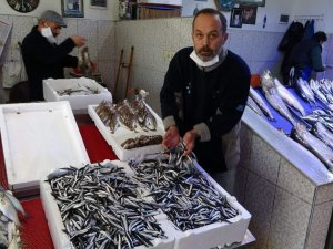 Hava Muhalefeti Nedeniyle Hamsinin Fiyatı Yükselişe Geçti