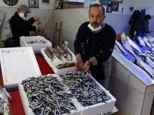 Hava Muhalefeti Nedeniyle Hamsinin Fiyatı Yükselişe Geçti