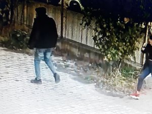 Fındık Hırsızlarını Güvenlik Kamerası Yakalattı