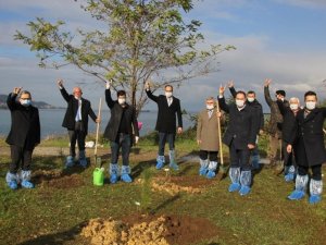 Giresunlu Ülkücüler, Alparslan Türkeş’in Anısına Fidan Dikti