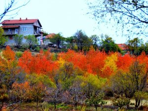 Fotoğraf Tutkunlarının Yeni Rotası “Uluborlu” Oldu