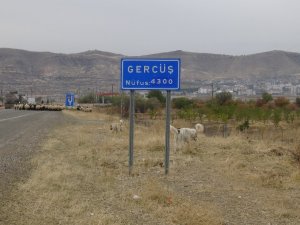 Gercüş Ovası Koruma Altına Alındı