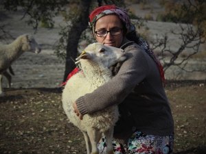 Dağlarda Kadın Başına 150 Koyununa Çobanlık Yapıyor