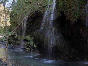 Kuzalan Tabiat Parkı’nı Bu Yıl 60 Bin Kişi Ziyaret Etti