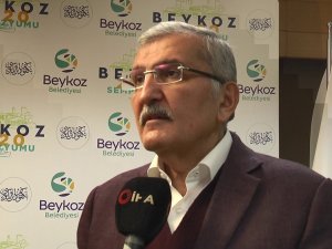 Beykoz’da Bulunan Yaklaşık 500 Milyon Yıllık Fosiller Heyecan Uyandırdı