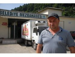 Zonguldak’ta ‘kaçak Et’ İddiası