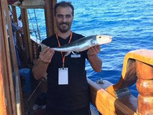 Balon Balığı Avı Balıkçıları Sevindirdi