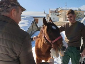Yaylada Ölüme Terk Edilen At Günler Sonra Hayvanseverler Tarafından Kurtarıldı