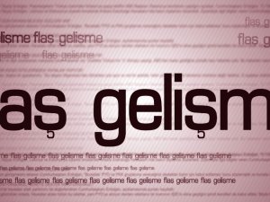 Brezilya’daki Otobüs Kazasında Ölü Sayısı 16’ya Yükseldi