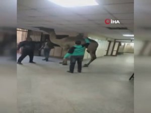 Mısır’da Hastaneye Giren Deve Görenleri Şaşırttı