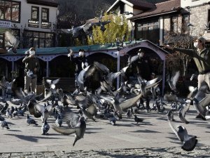 Aç Kalan Güvercinlerin İmdadına Polisler Yetişti