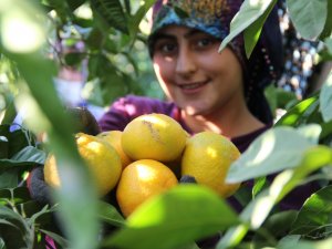 Dalında 1,5 Markette 8 Lira