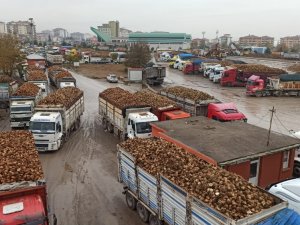Malatya Şeker Fabrikası’nda Son 30 Yılın Başarısı