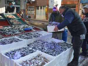 Hamsi Fiyatları Asansör Gibi
