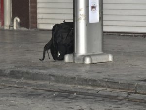 Gümüşhane’de Şüpheli Çantadan Elbise Çıktı