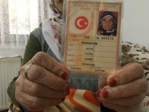 Asırlık Çınar Korona’yı Yendi