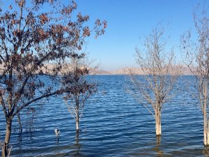 Baraj Ve Göllerde Su Seviyesi Düştü, Deprem Merkezindeki Gölde İse Yükselme Dikkat Çekti
