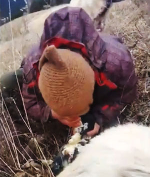Rize’de Bir Çobanın Yeni Doğan Kuzuyu Yaşatma Çabaları Böyle Görüntülendi