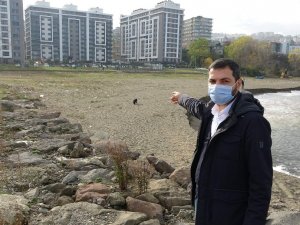 Kumsalıyla Tanınan Plaja Yapılmak İstenen Proje Çevre Sakinlerini Harekete Geçirdi