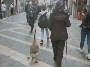 Sokakta Görenler Dönüp Bir Daha Baktı