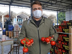 Domates İhracatı Yasağı Yeniden Gözden Geçirilsin