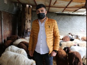 Korona Virüsü Atlatanlar Adaklık Koyun Kestiriyor